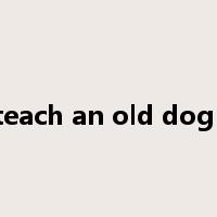 you can't teach an old dog new tricks是什么意思