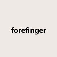 forefinger是什么意思