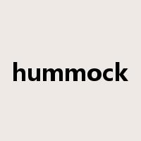 hummock是什么意思