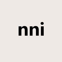 nni是什么意思