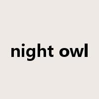 night owl是什么意思