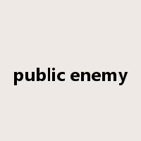 public enemy是什么意思
