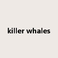 killer whales是什么意思