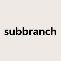 subbranch是什么意思