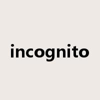 incognito是什么意思