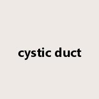 cystic duct是什么意思