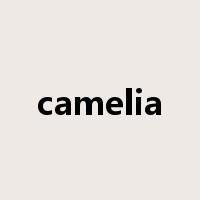 camelia是什么意思