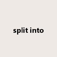 split into是什么意思