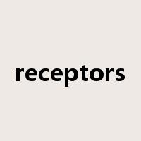 receptors是什么意思