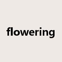 flowering是什么意思