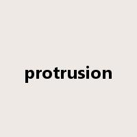 protrusion是什么意思