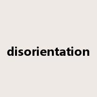 disorientation是什么意思
