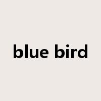 blue bird是什么意思