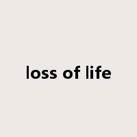 loss of life是什么意思