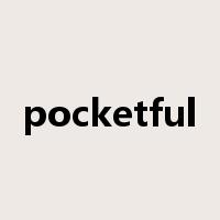 pocketful是什么意思