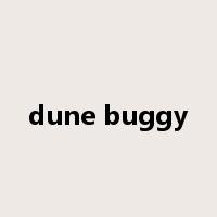 dune buggy是什么意思