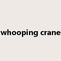 whooping crane是什么意思