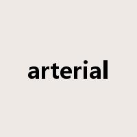 arterial是什么意思
