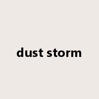 dust storm是什么意思