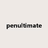 penultimate是什么意思