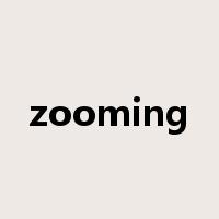zooming是什么意思