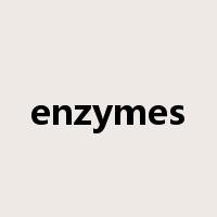 enzymes是什么意思