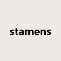 stamens是什么意思