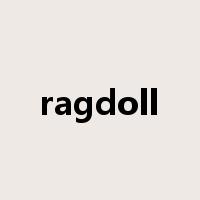 ragdoll是什么意思