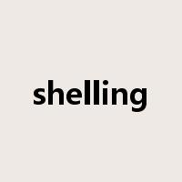 shelling是什么意思