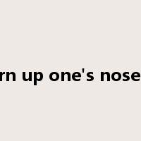 turn up one's nose at是什么意思