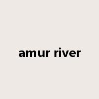 amur river是什么意思