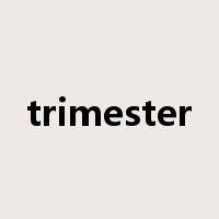 trimester是什么意思