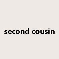 second cousin是什么意思