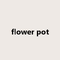 flower pot是什么意思