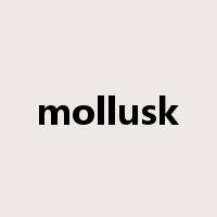 mollusk是什么意思