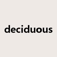 deciduous是什么意思