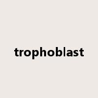 trophoblast是什么意思