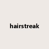 hairstreak是什么意思