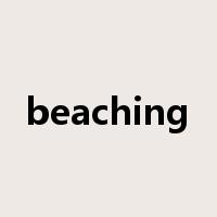 beaching是什么意思
