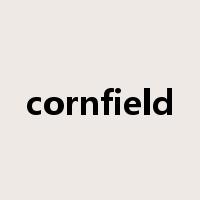 cornfield是什么意思