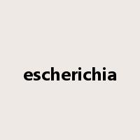 escherichia是什么意思