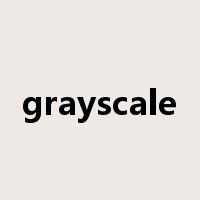 grayscale是什么意思
