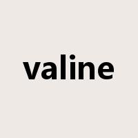 valine是什么意思