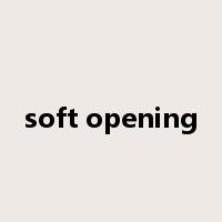 soft opening是什么意思