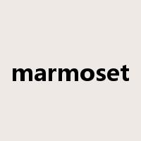 marmoset是什么意思