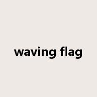 waving flag是什么意思