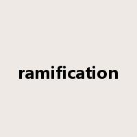 ramification是什么意思