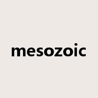 mesozoic是什么意思