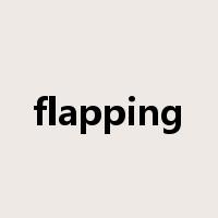 flapping是什么意思