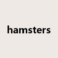 hamsters是什么意思
